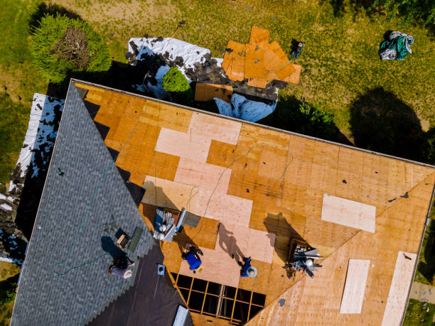 Best Roof Replacement Cost  in Wayne, OH